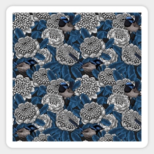 White waratah and fairy wrens Sticker